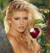 Brande Roderick