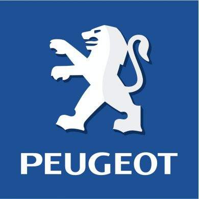 Четири въпроса към Максим Пика, Генерален директор на Peugeot