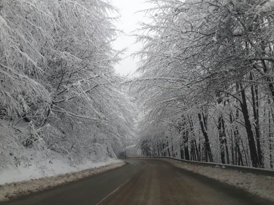АПИ: Шофьорите да тръгват на път с автомобили, подготвени за зимни условия. В Северозападна и Западна България вали сняг